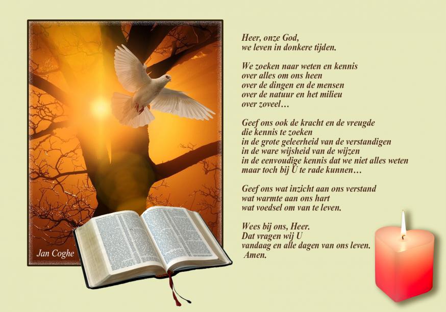 Gebed van de week
